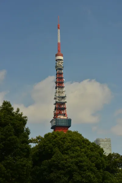 DSC_3815 (Large).JPG